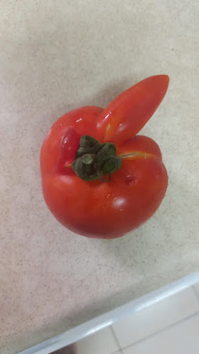 שנזי - קרית אתא