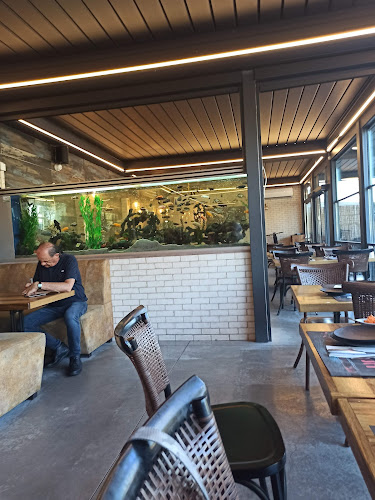 Opinii despre רונן בשרים în נתניה - הסעדה