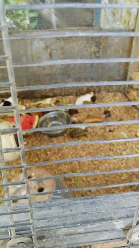 עולם החי והצומח - הסעדה