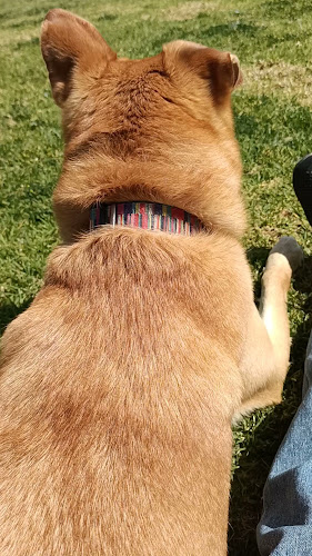 Comentarii opinii despre מקדונלד'ס - ביג באר שבע