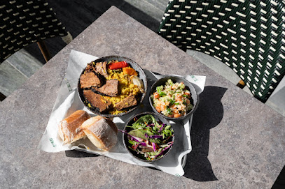 זוקו | Zoko Carnivores TLV