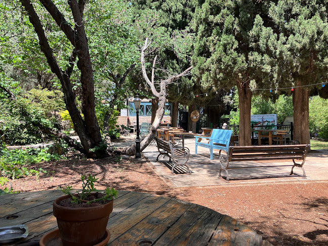 החלוצים, ראש פינה, 12000