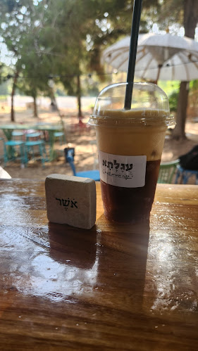 Comentarii opinii despre עגלתא