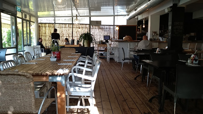 מסעדת גרציא - העוגן