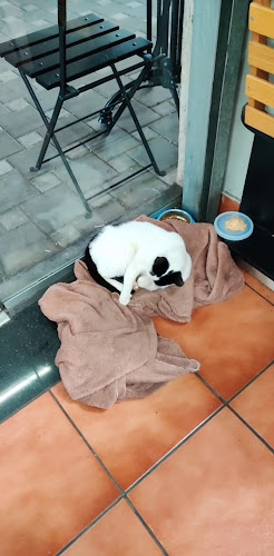 Opinii despre אוא קפה בעיר în חיפה - הסעדה