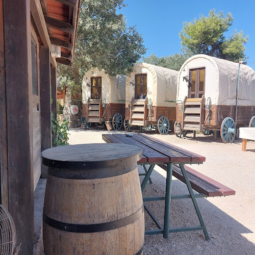 Opinii despre חוות בת יער în עמוקה - הסעדה