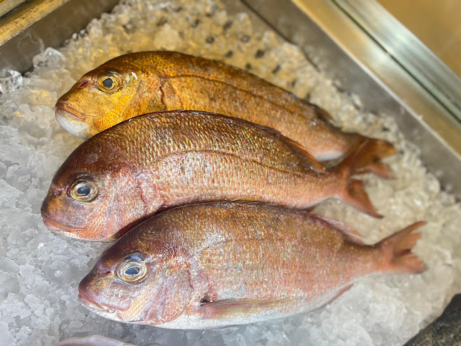 Opinii despre פיראוס דגים în פתח תקווה - הסעדה