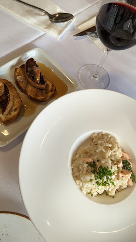 דולפין ים - Sea dolphin - ירושלים