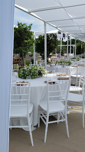 Comentarii opinii despre מגי ותולי