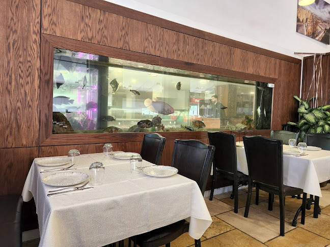 Opinii despre מסעדת סיידא în שפרעם - הסעדה