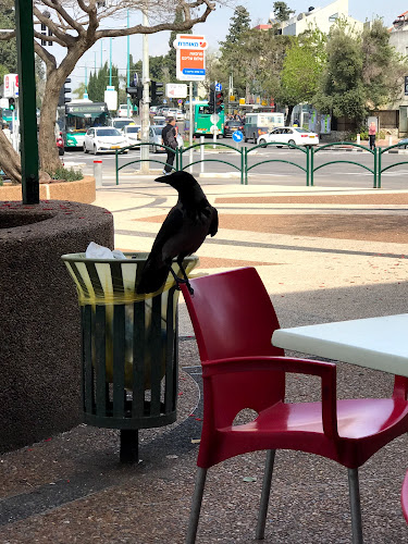 McDavid - הסעדה