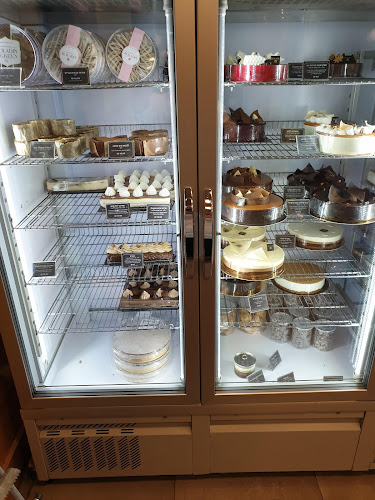 Comentarii opinii despre רולדין