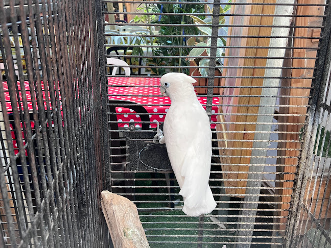 עולם החי והצומח - ערד