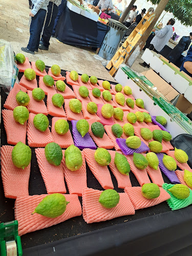 שוק ארבעת המינים