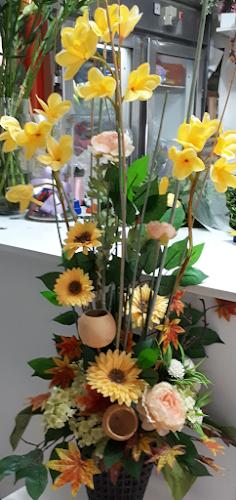 אלכחייל 313, ירוחם, 8050932