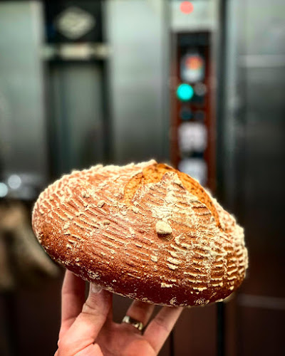 פאנס חמים וטעים - ראשון לציון