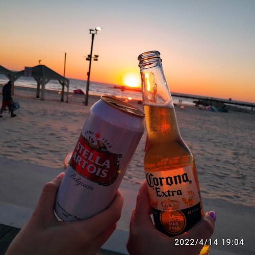 חוף לה מר תל-אביב | La Mer Beach Tel Aviv - תל אביב-יפו