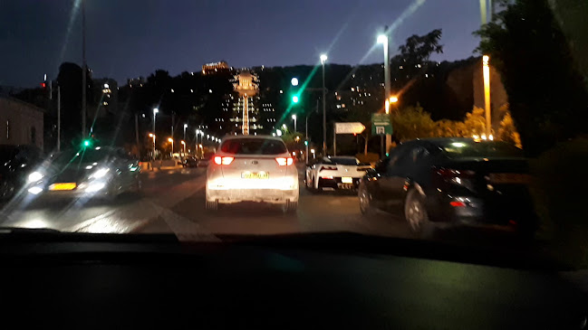 Comentarii opinii despre פטוש