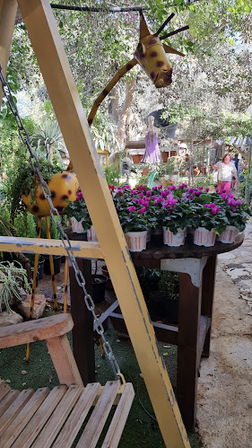 Opinii despre עולם החי והצומח în ערד - הסעדה