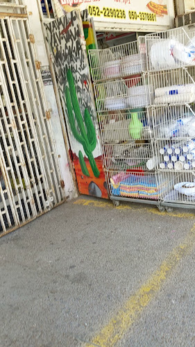 Opinii despre שוק רובע ו în אשדוד - הסעדה