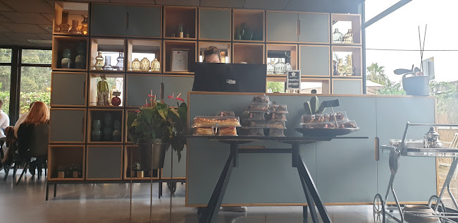 Comentarii opinii despre אנאמרו