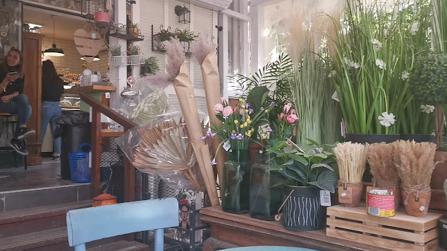 זריפה - ירושלים