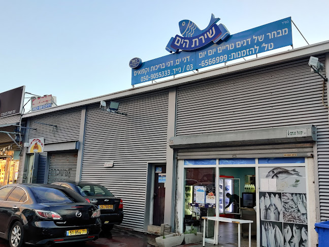 שירת הים - חנות דגים - בת ים