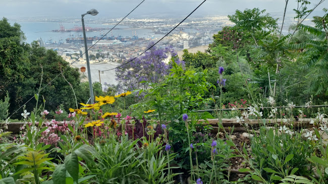 יפה נוף 99, חיפה, 34641