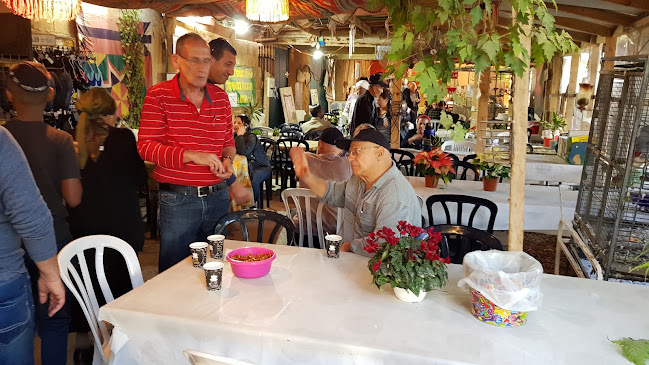 בצלאל 2-38, ערד