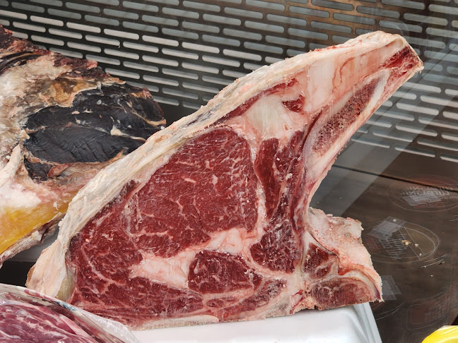 צ'אבס- דגי מעיין - ירושלים