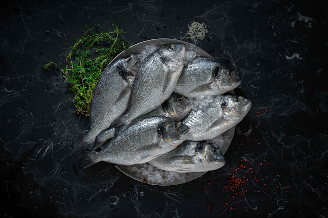 דרך שלמה 17, תל אביב-יפו