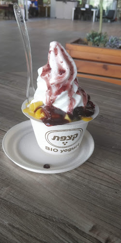 גלידריית קצפת בית שמש - Katsefet ice cream - הסעדה