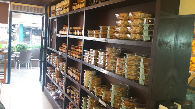 לחם תושיה רעננה - רעננה