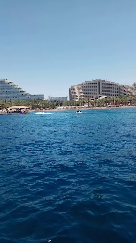 פלמינגו - אילת