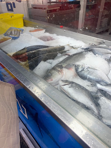 מרכז דגי יפו