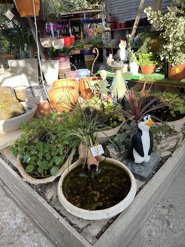 עולם החי והצומח - הסעדה