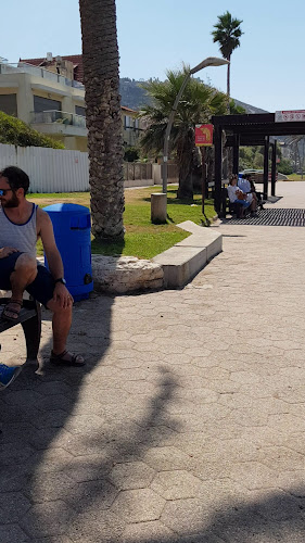 מסעדג - חיפה