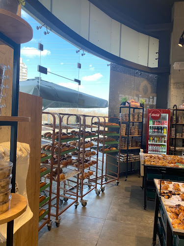 גמלא 3, חדרה