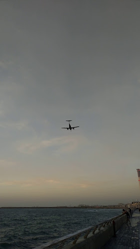 Opinii despre פורט 19-כשר în תל אביב-יפו - הסעדה