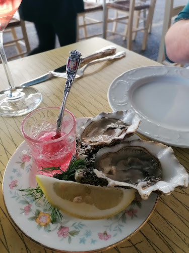 Comentarii opinii despre תלפיות