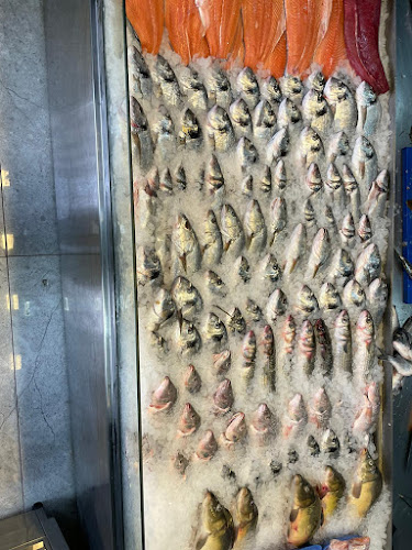 גבאי דגים ודייגים - הסעדה