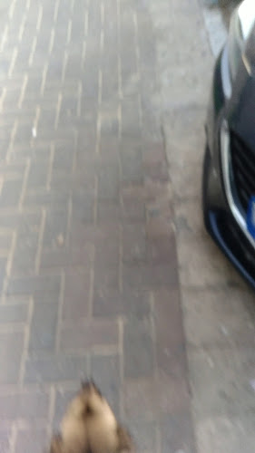 Opinii despre פיצה פי 2 חולון în חולון - הסעדה