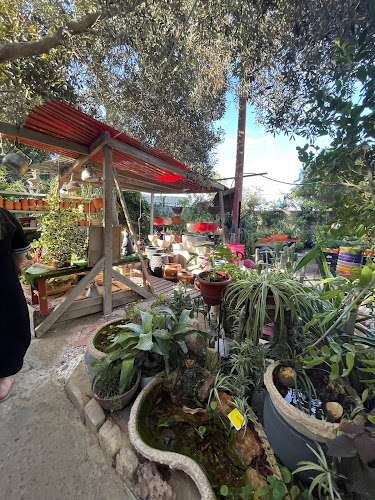 Comentarii opinii despre עולם החי והצומח