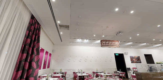 כינור בכיכר Kinor Bakikar - ירושלים