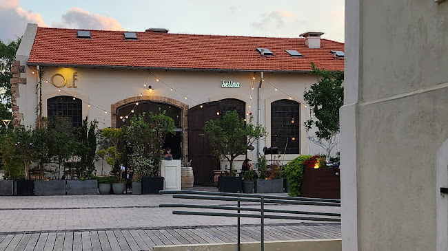 מסעדת אולה - OLE RESTAURANT