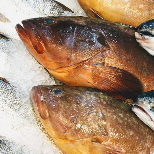 יהודה אמצ׳יסלבסקי 2, ראשון לציון