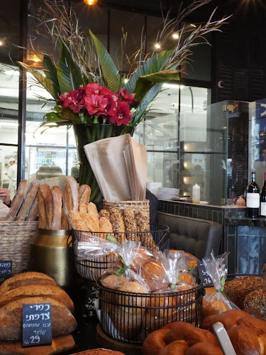 קאופמן וכהן