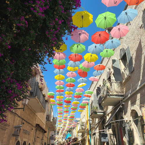 Comentarii opinii despre דולפין ים - Sea dolphin