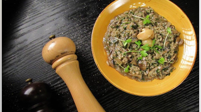 Comentarii opinii despre גשן