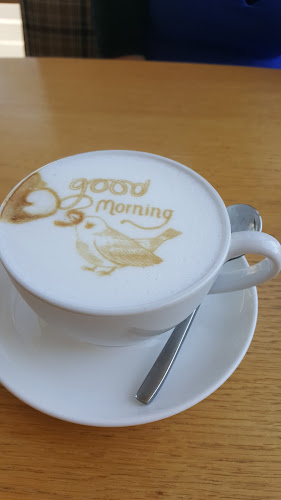 Comentarii opinii despre בית הלחם